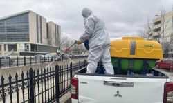 Yaz öncesi vektörle mücadele