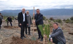 Kargı'da 250 fidan  toprakla buluştu