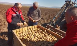 Bozboğa’da hububat ve patates incelemesi