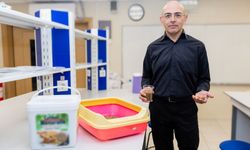 Ceviz kabuğundan “kedi kumu” üretti