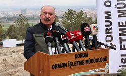 “Çorum’da orman varlığımız ülke ortalamasının üzerinde”