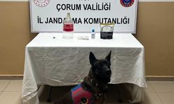 Alaca'da uyuşturucu operasyonunda 1 kişi yakalandı