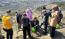 Bayat'ta 105 fidan  toprakla buluşturuldu