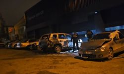 Park halindeki araçta yangın çıktı