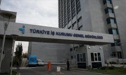 Türkiye'de en çok iş aranan meslekler belli oldu