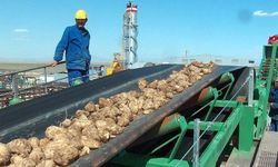 Dev fabrika satılıyor! O sektörden çekiliyorlar