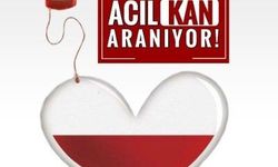 Acil kan aranıyor