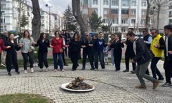 Nevruza halaylı kutlama