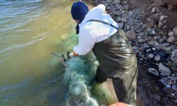 Çorum’da kaçak avcılığa geçit yok