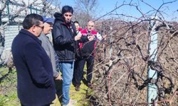 Kiraz bahçesinde inceleme
