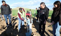 Sungurlu'da Çocuk ve Genç Meclisi üyeleri fidan dikti