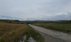 Çorum'da 40 dönümlük arsa satışa çıktı! İşte bedeli