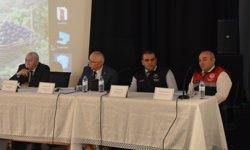 Çorum'da bağcılığın geleceği ele alındı