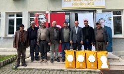 Üreticilere yüzde 50 hibeli  ayçiçeği tohumu dağıtıldı