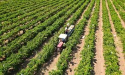 Çiftçiye 17.4 milyar destek ödemesi bugün