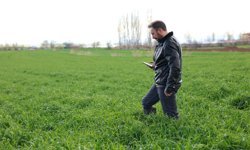 Çorumlu çiftçinin işi kolaylaşacak: Yapay Zeka, çiftçinin 'dijital mühendisi' oldu!