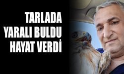 Tarlada yaralı buldu, hayat verdi