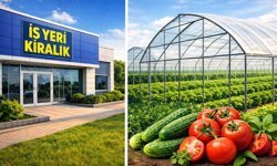 Kargı Belediyesi'nden iş yeri ve seraların kiralama ihalesi