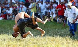 Yağlı güreş sezonu Kargı’da tamamlanacak