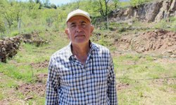 Zirai don cevizi vurdu,  çözümü incirde buldu