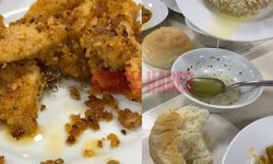 Öğrencilere bu yemekler mi reva görülüyor! Bulaşık teli, kıl, taş...