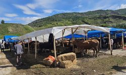 Bayat'ta hayvan pazarı açıldı