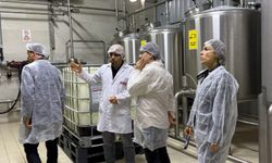 GANİK, AB ülkelerine süt  ürünleri ihracatına yöneliyor