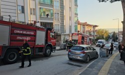 Yangın paniği mahalleyi ayağa kaldırdı