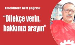Emeklilere AYM çağrısı:   “Dilekçe verin,  hakkınızı arayın”