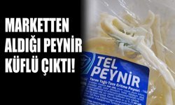 Marketten aldığı peynir küflü çıktı!