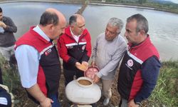 Taş, çeltik üreticisi  ile sahada buluştu