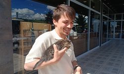 3 gün bagajda mahsur kalan yavru kedi Çorum’da kurtuldu