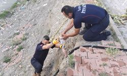 Çaya düşen kediyi itfaiye kurtardı