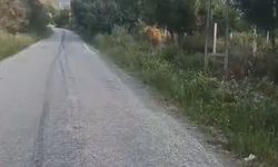 Çorum'da köylülerden yol tepkisi: "Birilerinin canı mı yanmalı?"