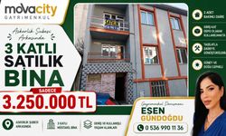 Mova city reklam 24