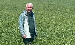 Ziraat Mühendisleri Odası’ndan toprak uyarısı: “Geleceğimizi kendi ellerimizle yok ediyoruz”