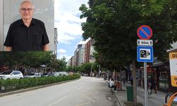 "Caddedeki süreli park kararı engellileri mağdur etti”