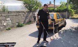 Otomobilin altına giren yılan  itfaiye ekiplerince çıkarıldı
