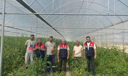 Seralarda sıkı takip, üreticiye  yerinde teknik destek