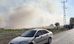 Çorum'da tarlada yangın çıktı