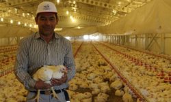 TKDK’dan hayvancılığa 30  milyon avroluk dev hibe
