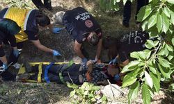 Çorum'da kiraz toplarken hastanelik oldu