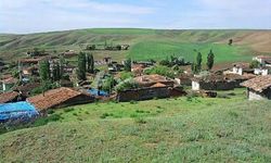 Çorum'da 4 köyde hazine arazileri satışa çıktı! İşte o köyler