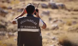 Çorum'da o kurum 7 personel alacak! İşte başvuru şartları