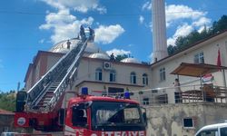 Yuvadan düşen leyleği itfaiye ekipleri kurtardı