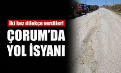 İki kez dilekçe verdiler! Çorum'da yol isyanı
