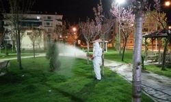 “Vektörel mücadele  aralıksız devam ediyor”