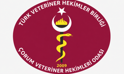 Aşılama sırasında saldırı: Veteriner hekimlere şiddete tepki