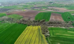 Belediye 7 arsasını satıyor! İşte fiyatları