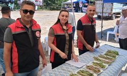 Kızılpınar Taze Fasulyesi  coğrafi işaret yolunda
